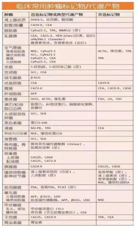 2024澳门最精准龙门客栈,持续计划解析_S11.389