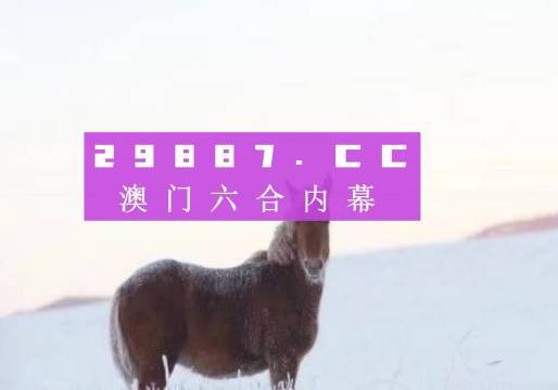 494949澳门今晚开什么454411,专业解答实行问题_铂金版74.186