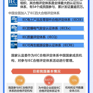 澳门平特一肖100准,系统化推进策略研讨_S71.304