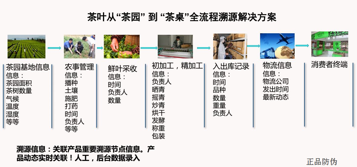 揭秘提升2024一码一肖,100%精准,可靠性方案设计_豪华版18.706