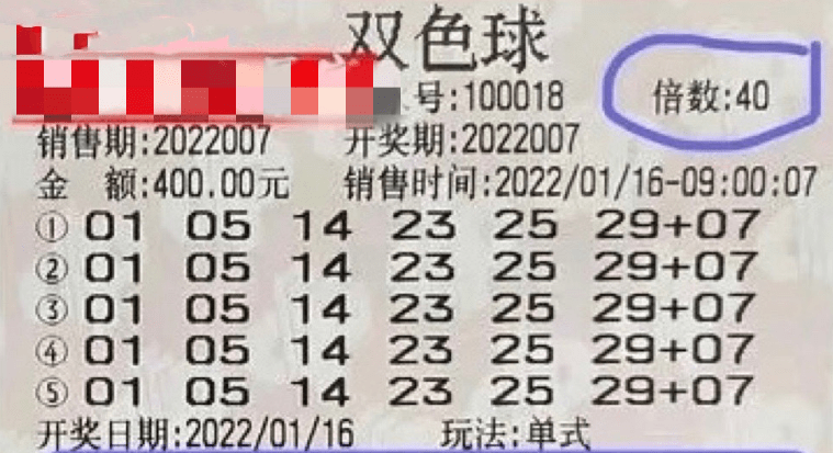 管家婆一票一码100正确今天,数据整合执行方案_体验版23.592